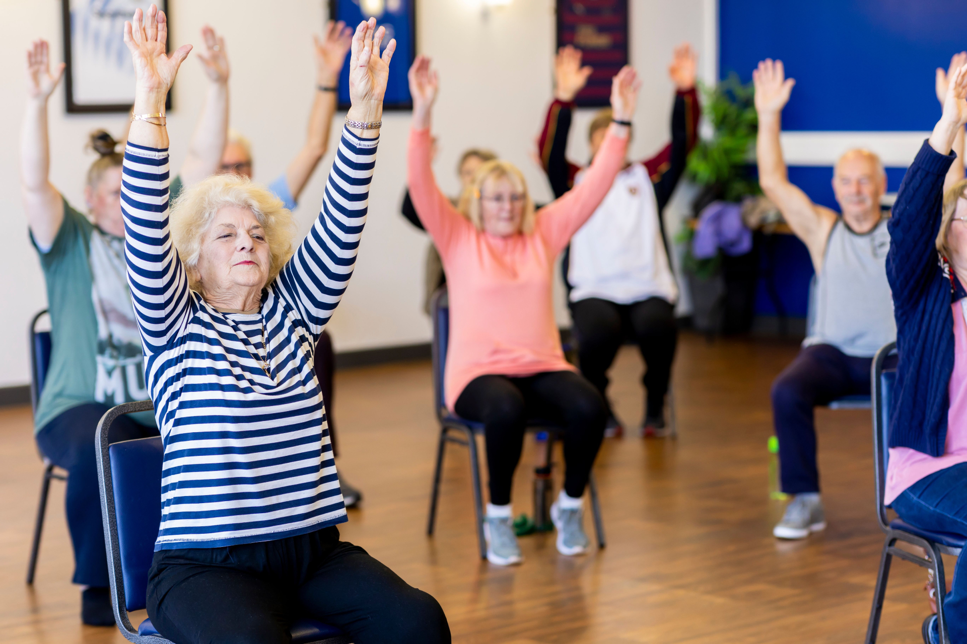 New Horizons for Seniors Program